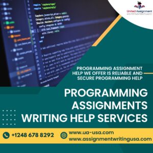Programming Writing Services